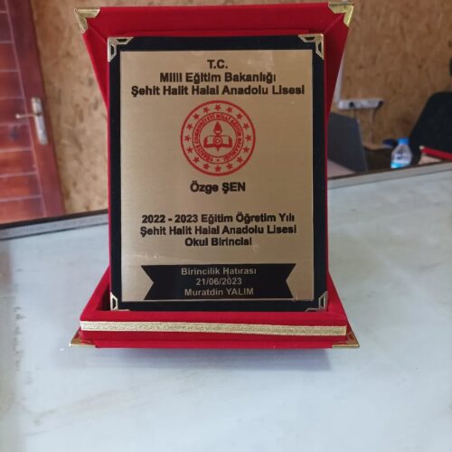 Ödül Ürünleri-Plaket