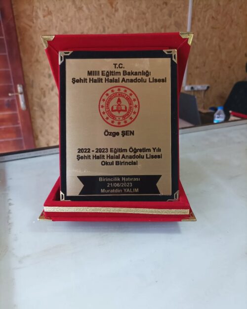 Ödül Ürünleri-Plaket